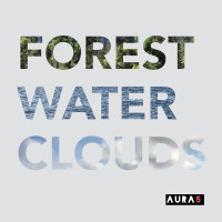 Forest Water Clouds