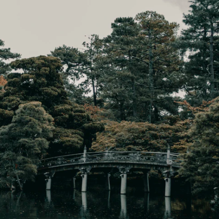 China | 传统乐器的文化底蕴