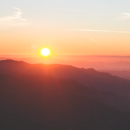 元旦 | 希望新的一年越变越好