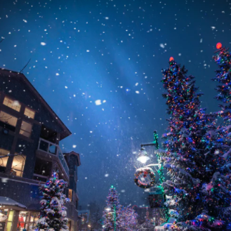 Vocal | 圣诞晚宴邀请函