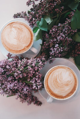 咖啡馆的慵懒小调