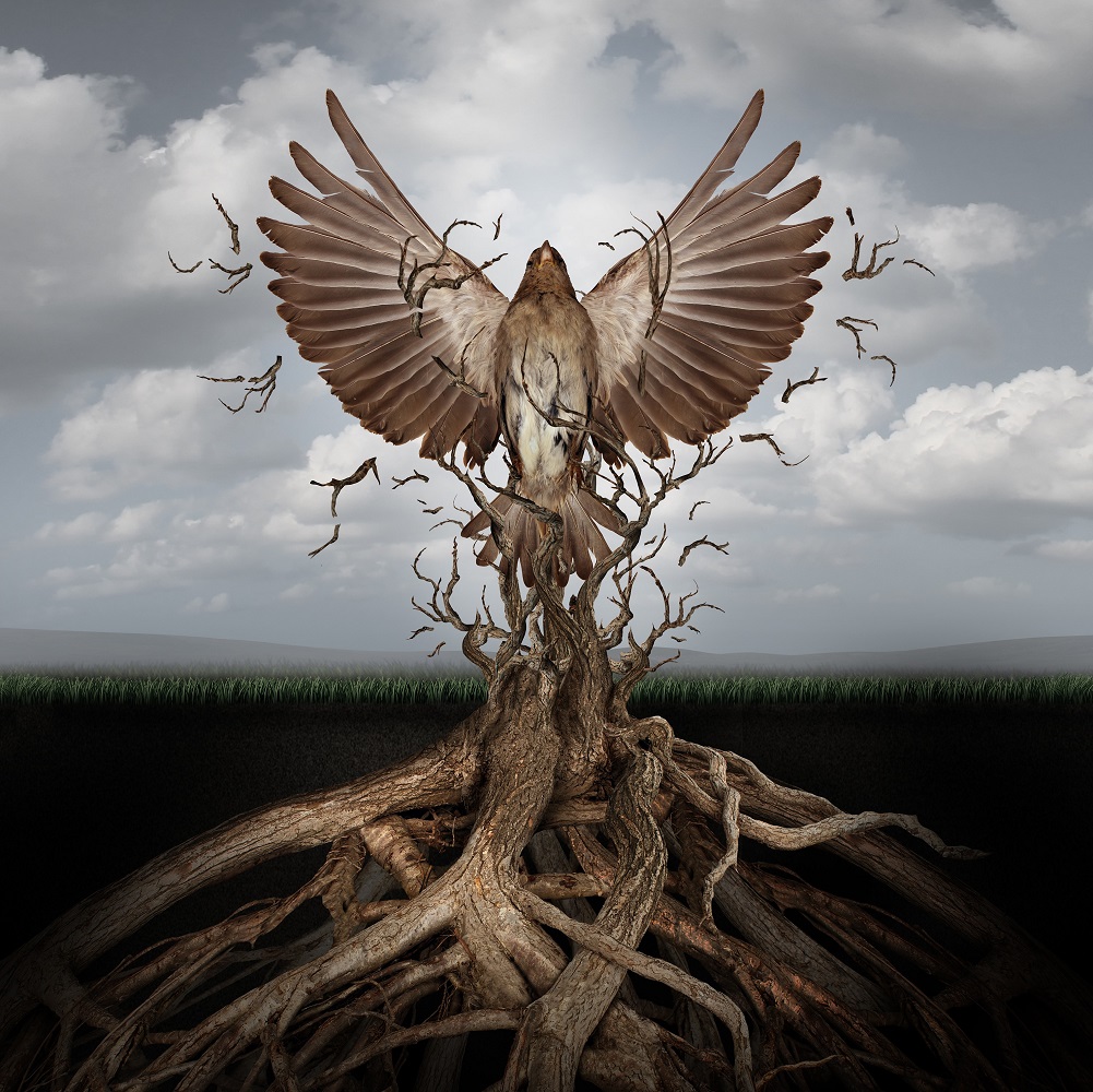 励志 商战  钢琴曲