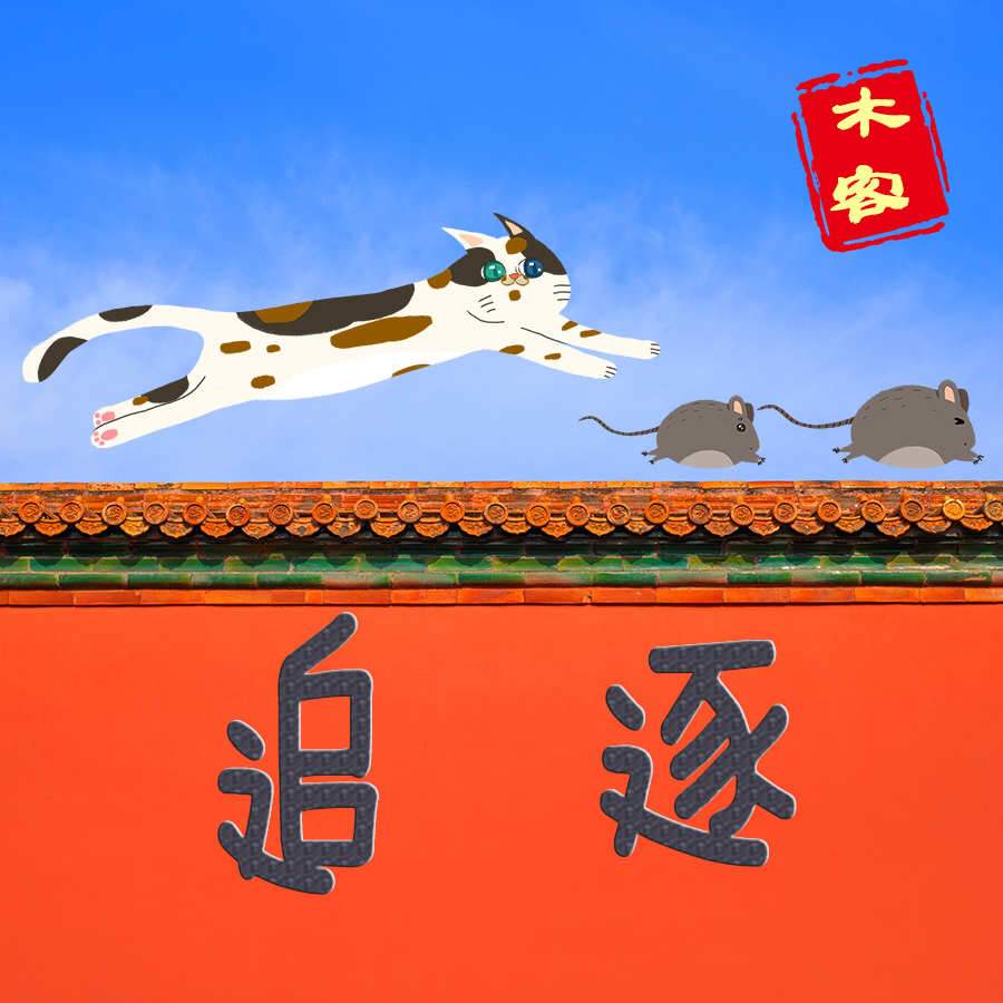 追逐 狂野 冒险