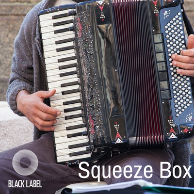 Blm0018 Squeeze Box
