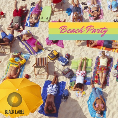 Blm0014 Beach Party