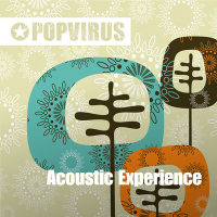 Pop-pi0021 Acoustic Experience