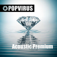 Pop-ps0200 Acoustic Premium
