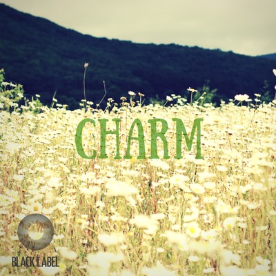 Blm0023 Charm
