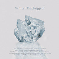 Winter Unplugged