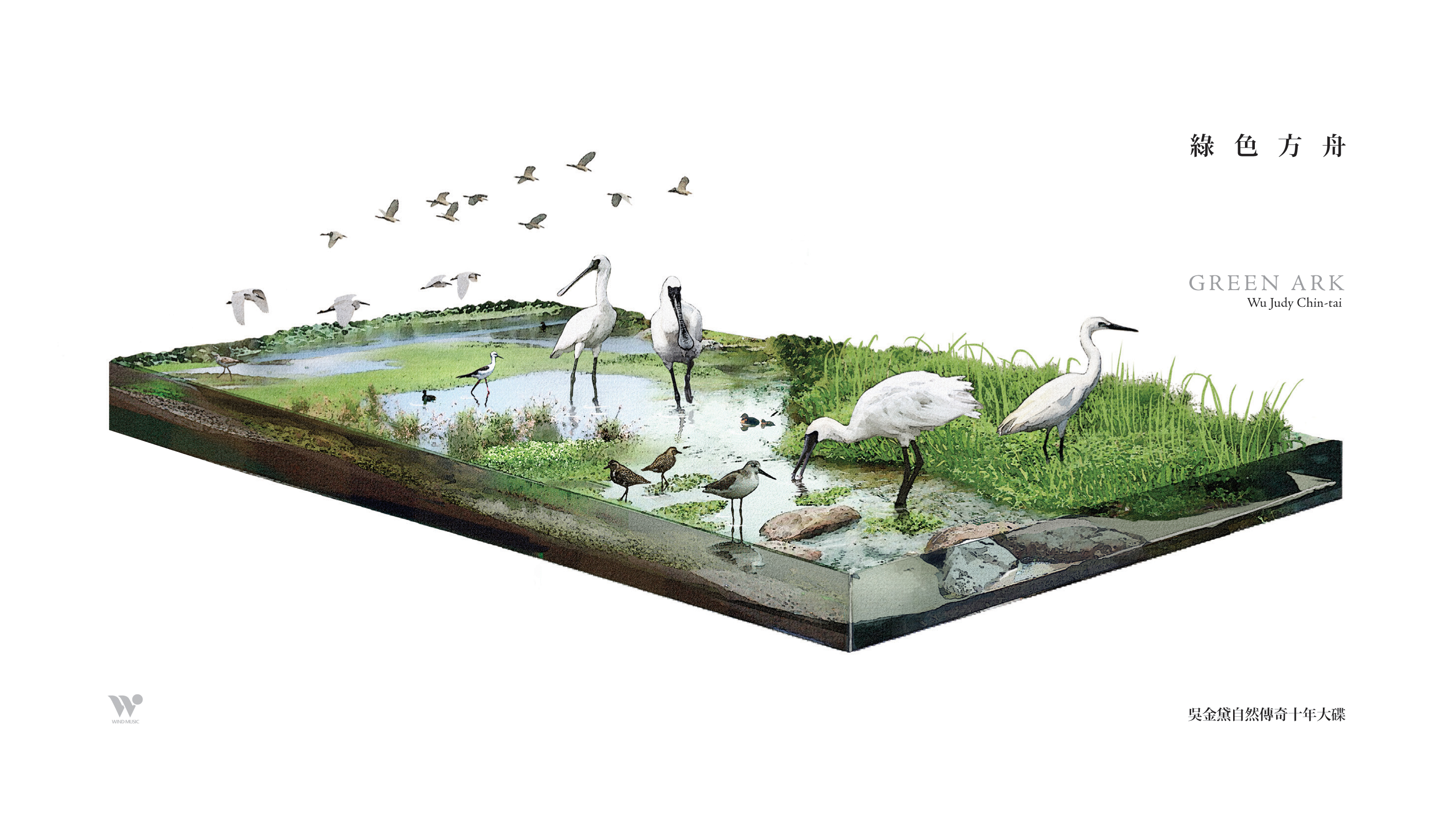 綠色方舟