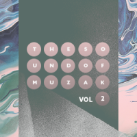 The Sound of Muzak Vol. 2