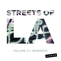 Streets of LA Volume 2 320 Electronic
