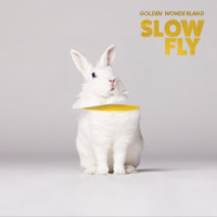 Slowfly - Golden Wonderland