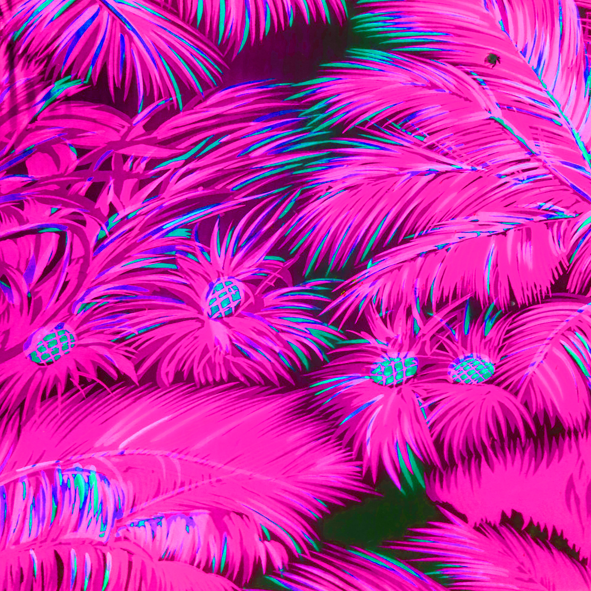 Tafka Budaah (타프카 부다)