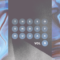 The Sound of Muzak Vol. 8