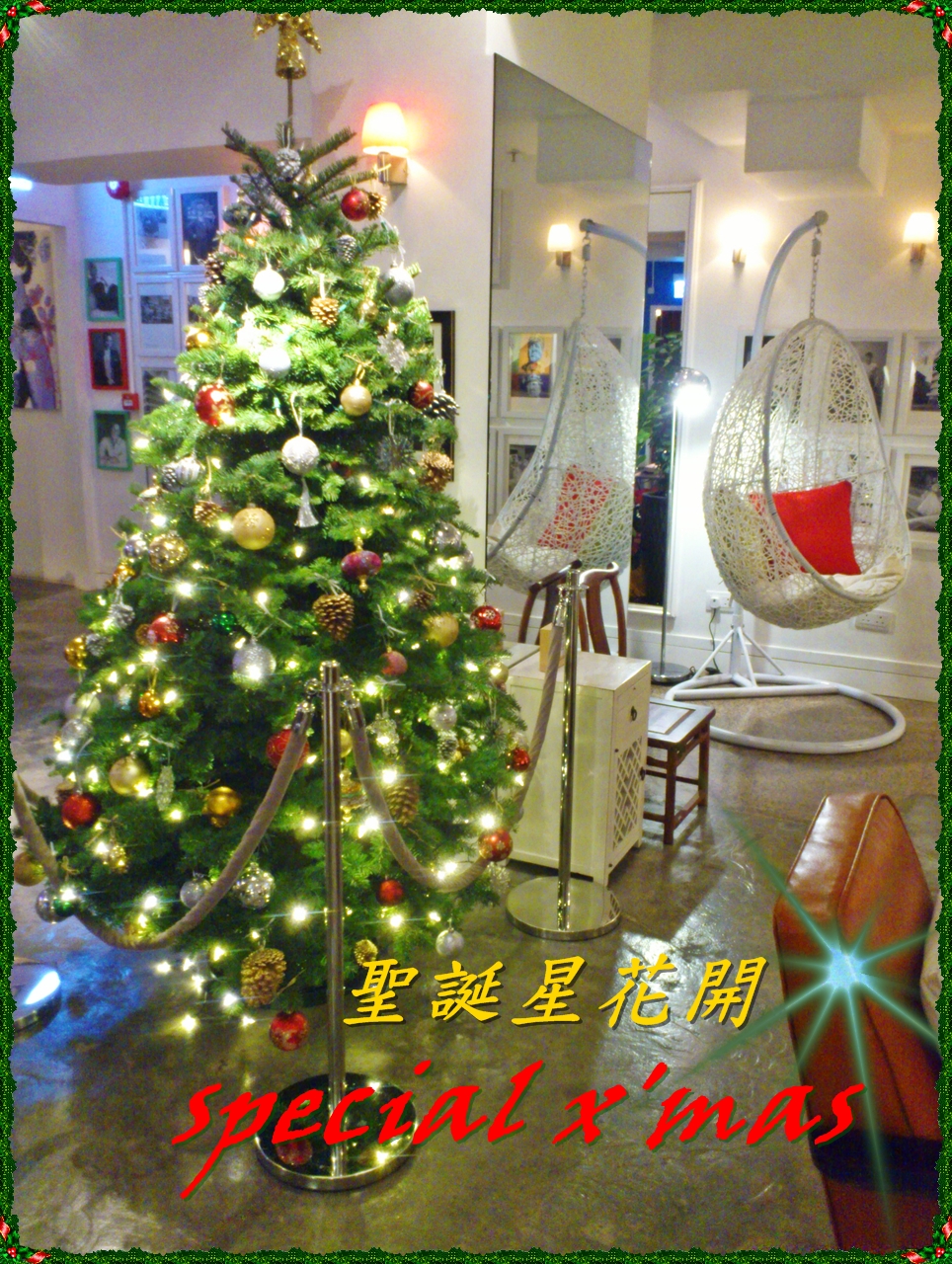 聖誕星花開special X'mas