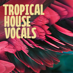 Tropical House Vocals