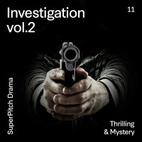 Supidr0011 Investigation Vol 2