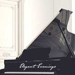 Elegant Evenings