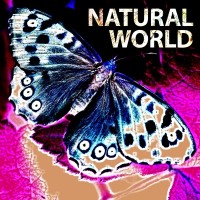 Scdv0507 Natural World