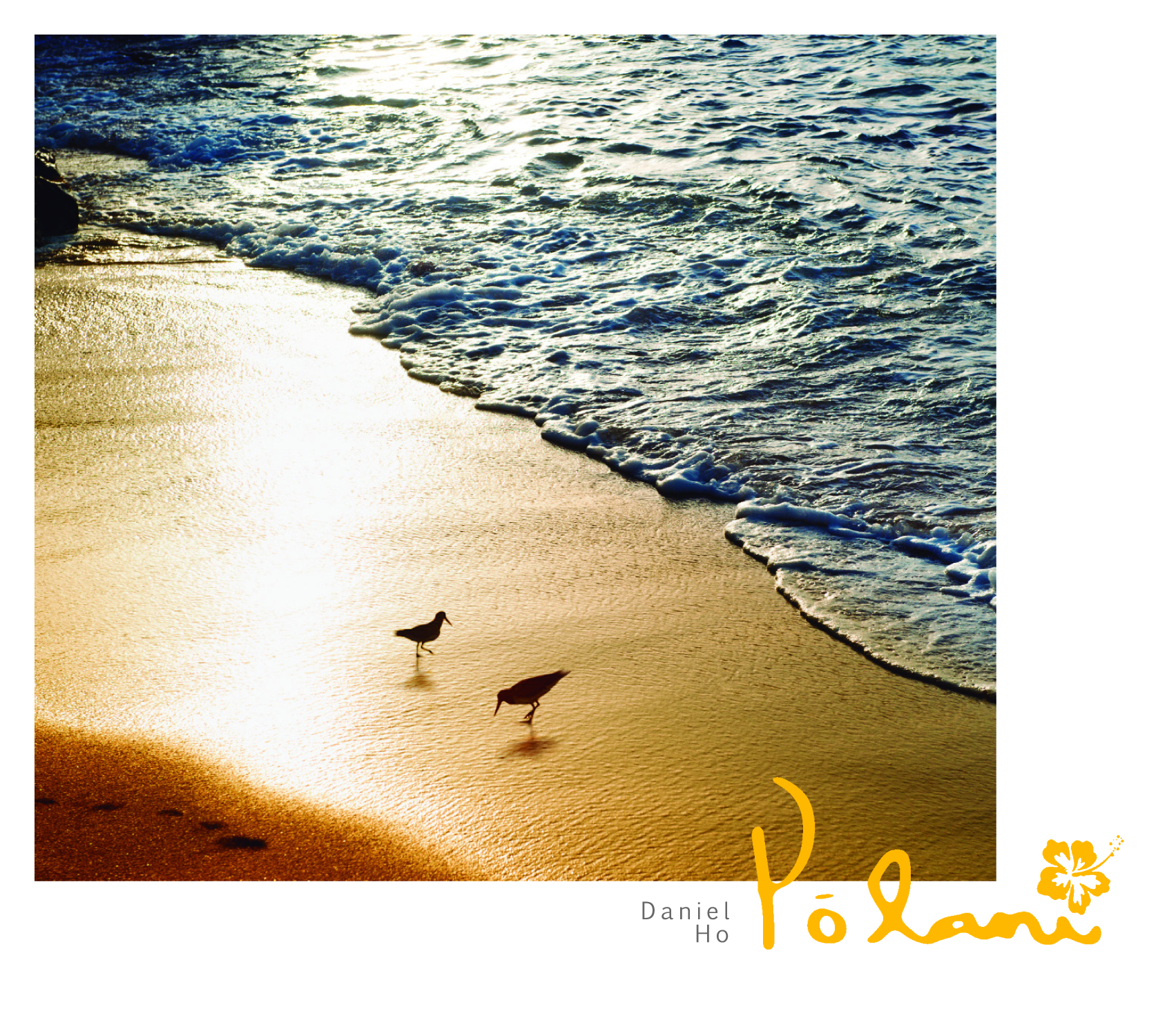 金色沙灘的自由漫步