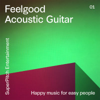 Supie0001 Feelgood Acoustic Guitar