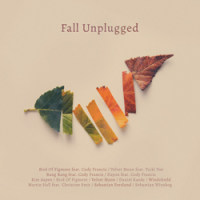 Fall Unplugged