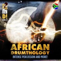 Afro0026 African Drumthology-explosive Percussion And More!