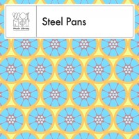 Wn0011 Steel Pans