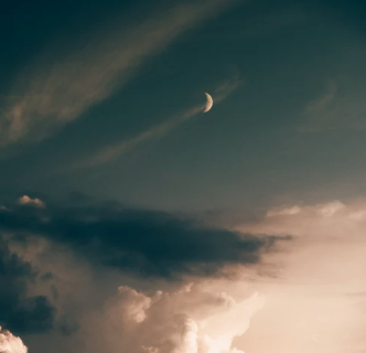 月遇从云 花遇和风 | 弛放生活No.2