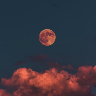 月遇从云 花遇和风 | 弛放生活No.3