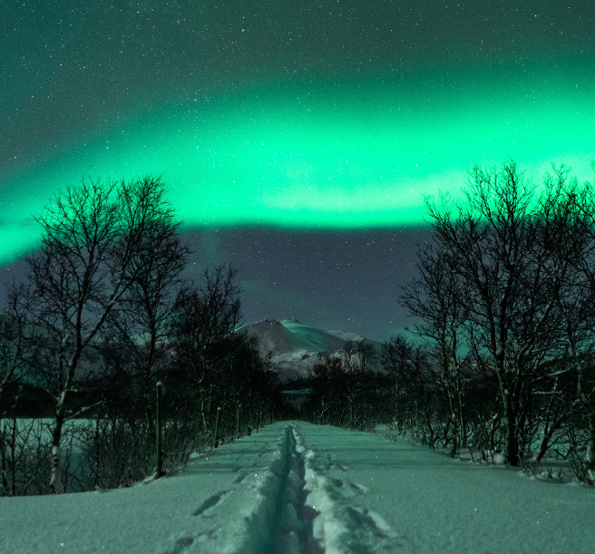 星光洒落肩头 l No.1