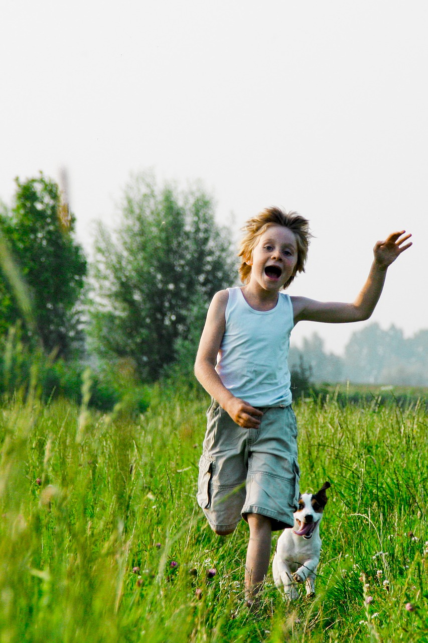 【欢快活泼】清爽的小美好（五）