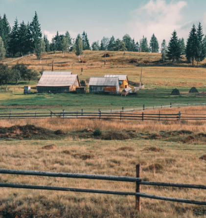 你听得见的美好音乐风景 | 乡村人声No.2