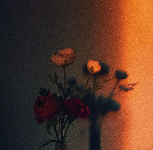 36.5°C的歌曲 l 温暖