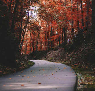 你听得见的美好音乐风景 | 乡村人声No.4