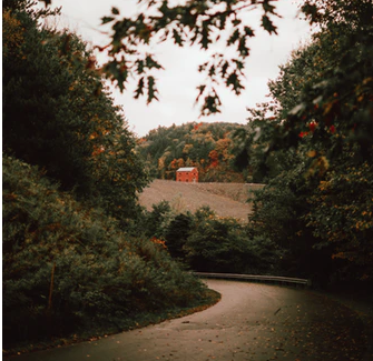 午后脚下的每一步都是慵懒 | 乡村舒缓No.3